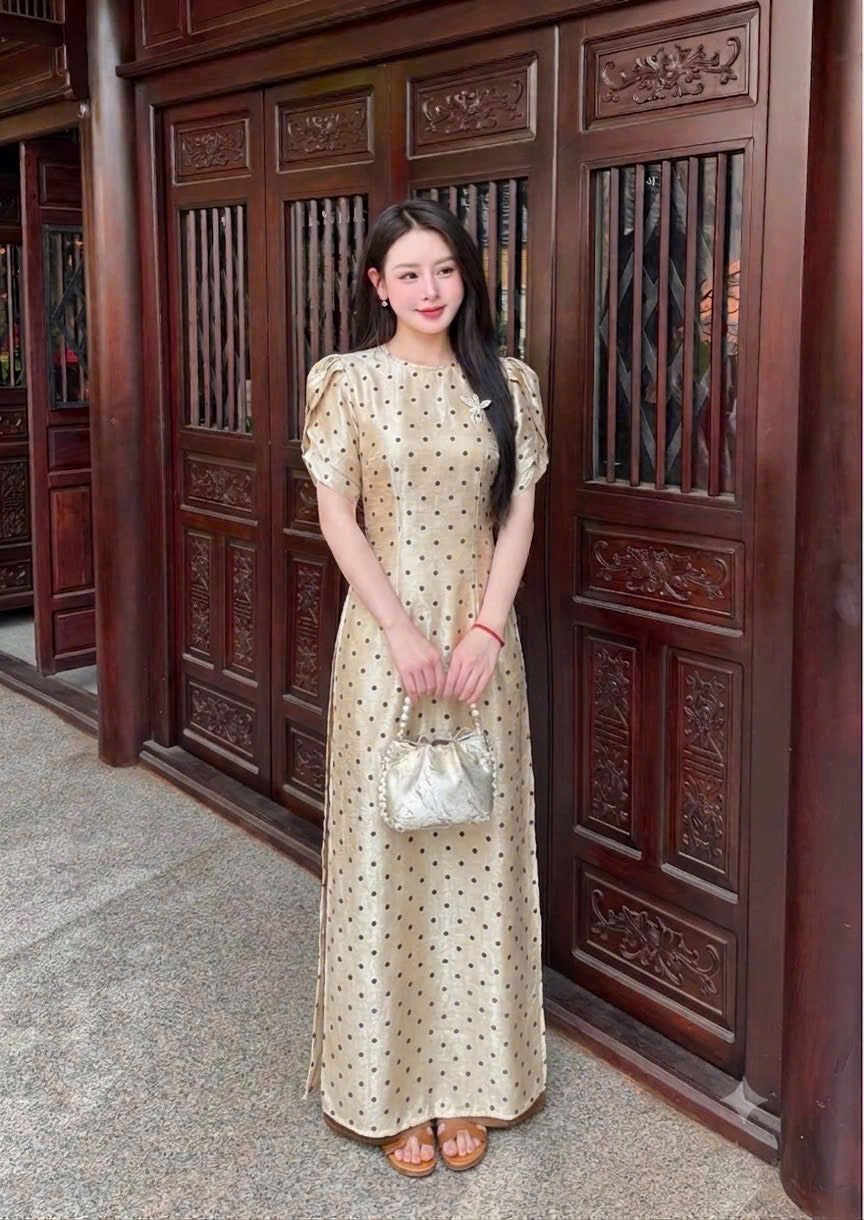 AODAI006V008