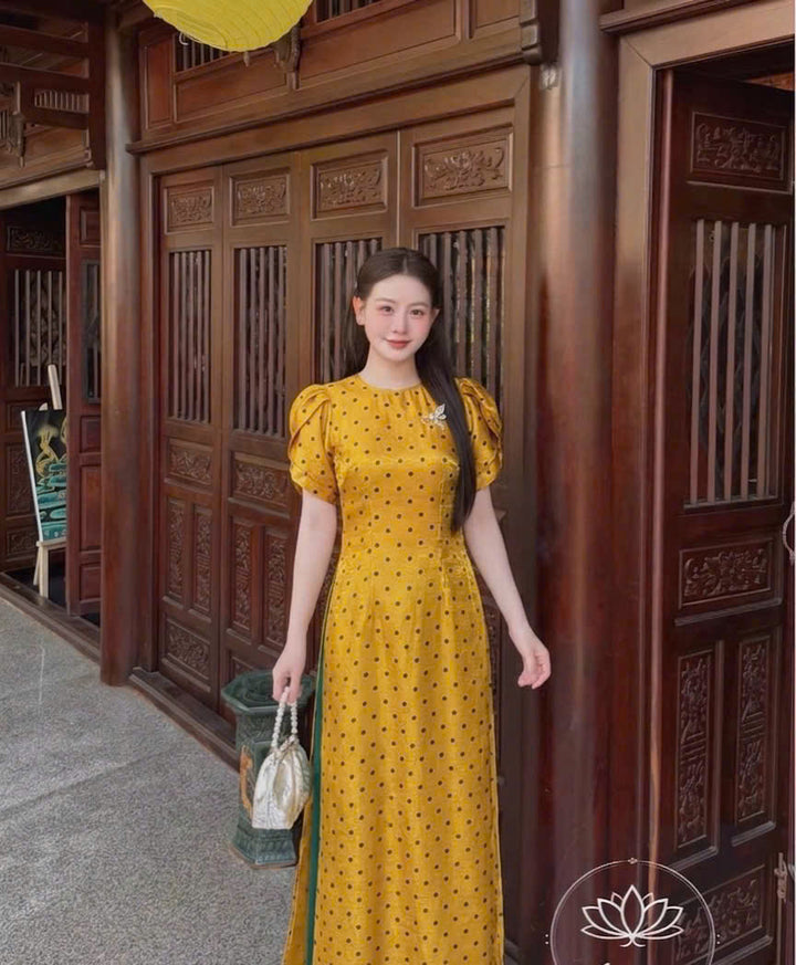 AODAI006V008