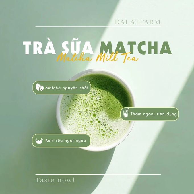 Matcha Latte Milktea (Trà Sữa Matcha Latte) - 10 sticks/box