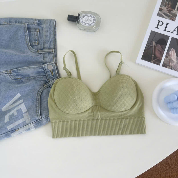 BRA003V004