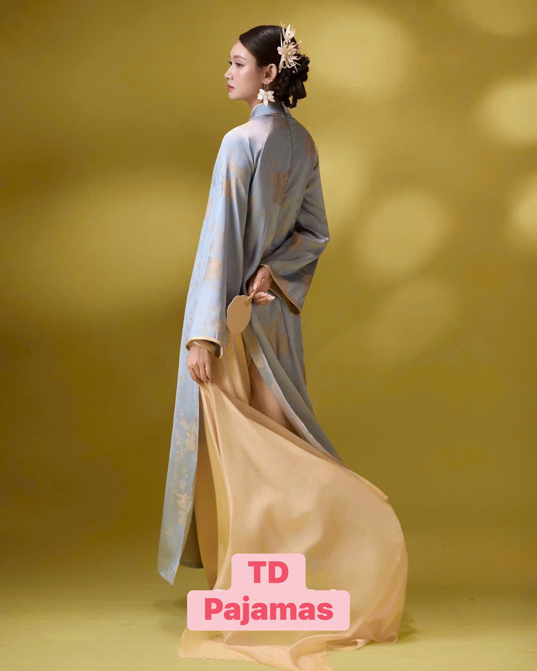 AODAI001V010